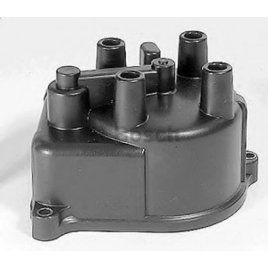 dianomeaw.jpg