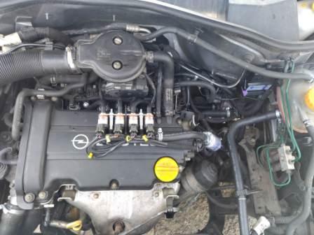 corsa 01.jpg
