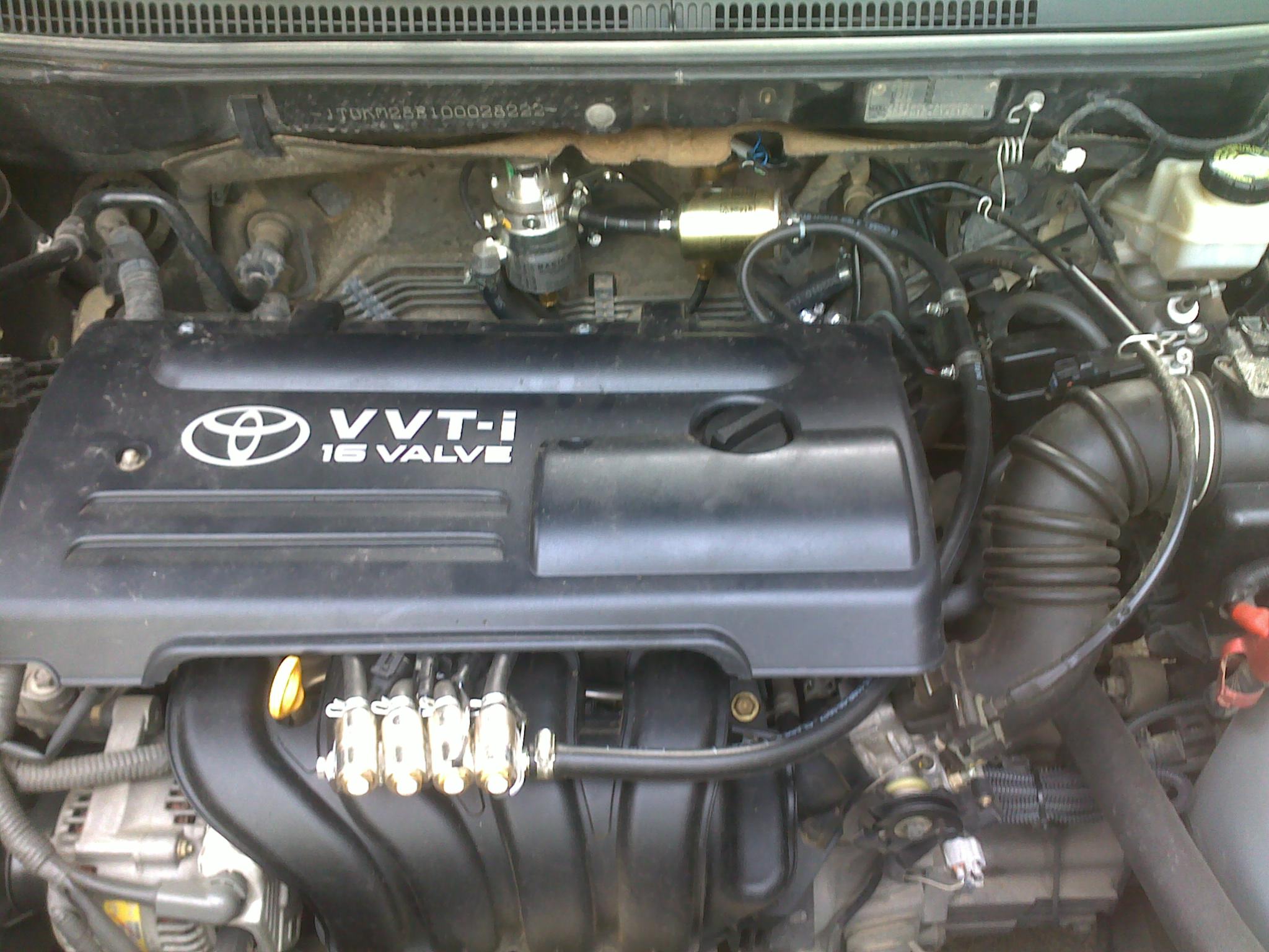 07062011007.jpg