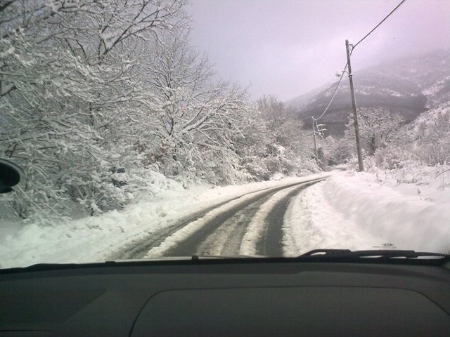 10032010122.jpg