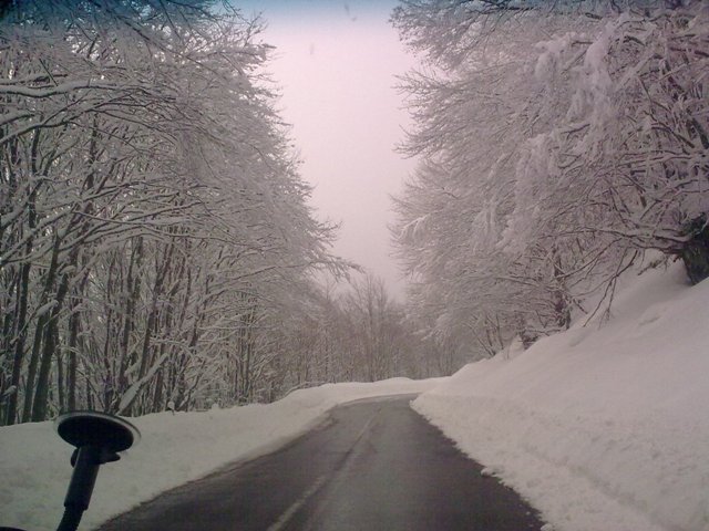 10032010127.jpg