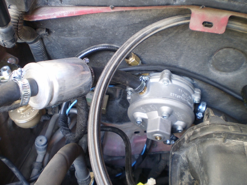 PA090033.JPG