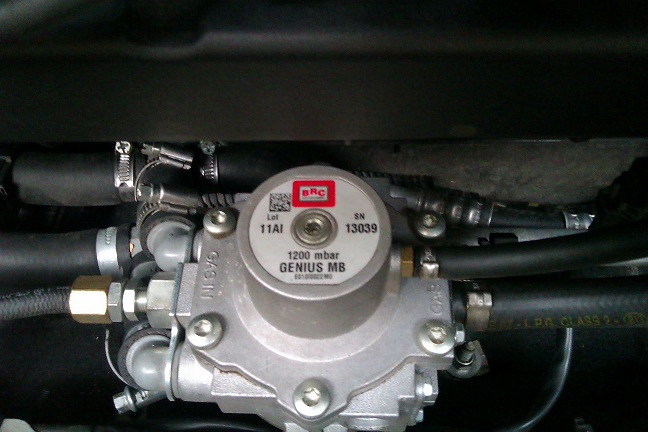 IMAG0115v.jpg
