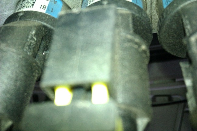 IMAG0121v.jpg
