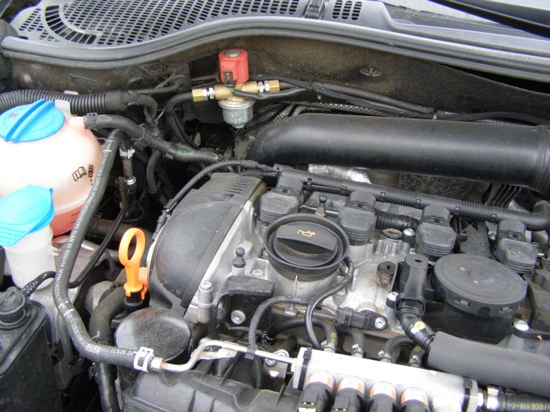 P1250806.JPG