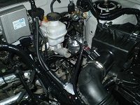 254.JPG